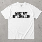 I'm Not Gay But 20 Is 20 Funny Text T-Shirt