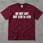 I'm Not Gay But 20 Is 20 Funny Text T-Shirt